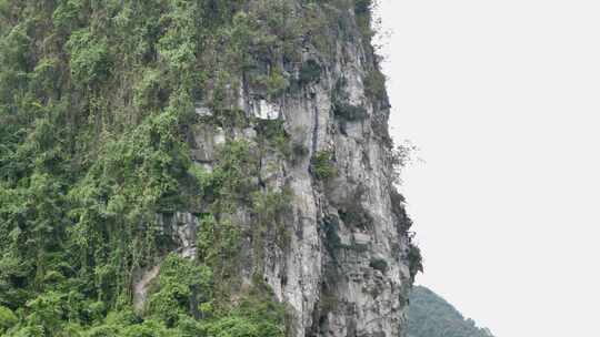 青山自然风光