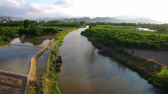 航拍闽江小岛果园茉莉花田沙洲湿地河汊白鹭