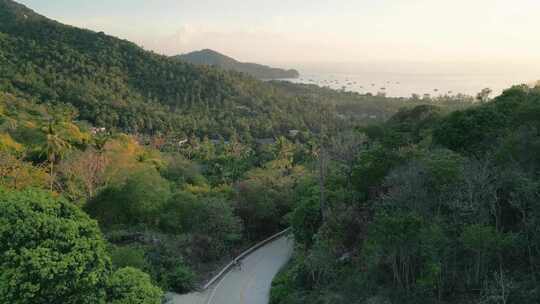 龟岛棕榈树植被热带雨林的塞雷海滩鸟瞰图