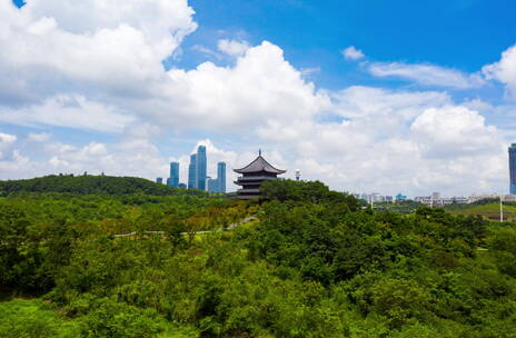 青秀山樱花园延时视频