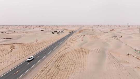 航拍新疆塔克拉玛干沙漠公路视频素材模板下载
