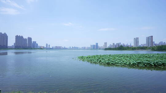 武汉武昌区沙湖公园4K视频素材
