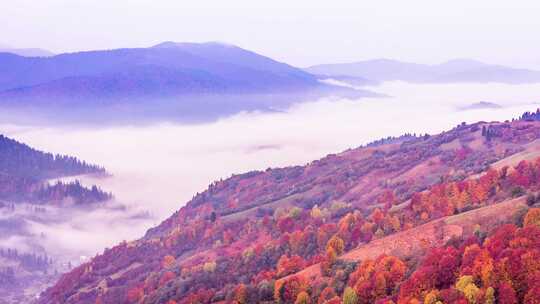 美丽的风景与丘陵和山