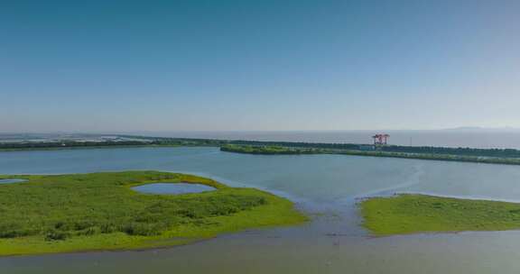 杭州钱塘大湾区湿地公园航拍视频