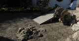 园林奇特的太湖石 狮子林高清在线视频素材下载