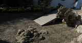 园林奇特的太湖石 狮子林高清在线视频素材下载