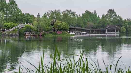 杭州西湖 浴鹄湾 春季景观 延时