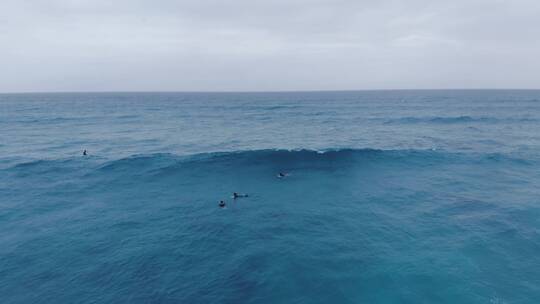 人们在大海上冲浪