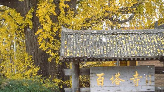 长安百塔寺