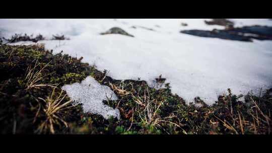 延时记录草地冰雪消融