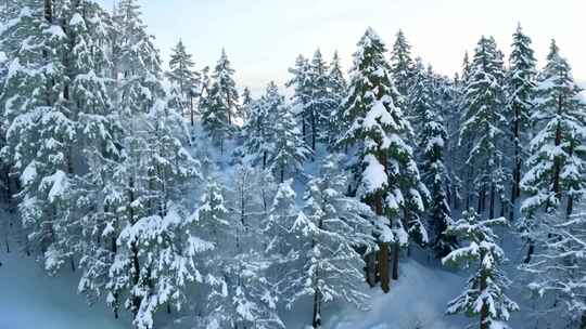 吉林四方顶雾凇 雪景