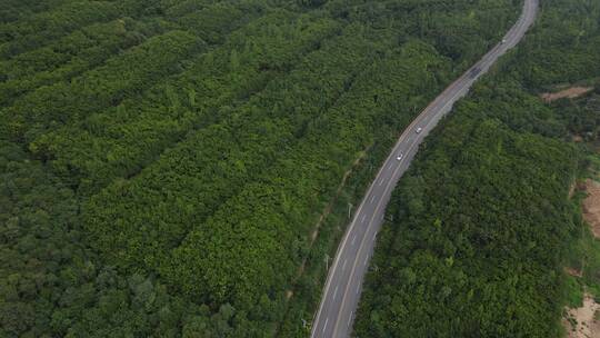 灞桥白鹿原道路生态3