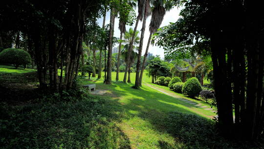 蓝天阳光草坪公园草地绿地