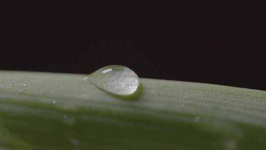 韭菜食材多角度拍摄LOG