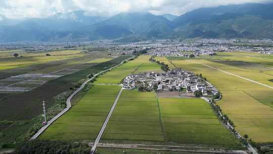 大理稻田航拍风光