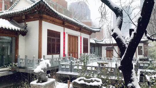 北京大雪下的古建筑竹叶雪花