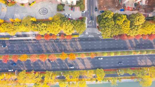 秋天的城市道路交通风景航拍延时