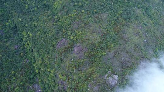 福建 莆田 荔城区 九华山 云海