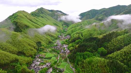 航拍森林云雾合集 高山云雾 优美自然 山村