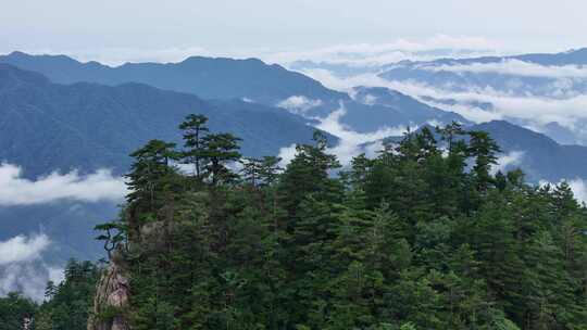 美丽中国河南伏牛山老界岭自然风光