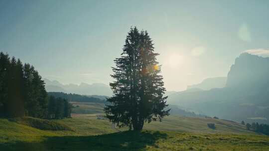 Alpe Di Siusi，白云石，山，