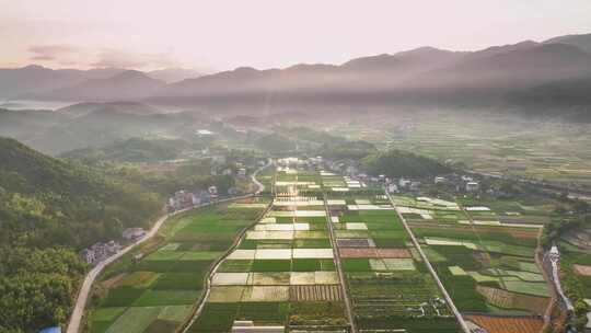 农村农业农田航拍