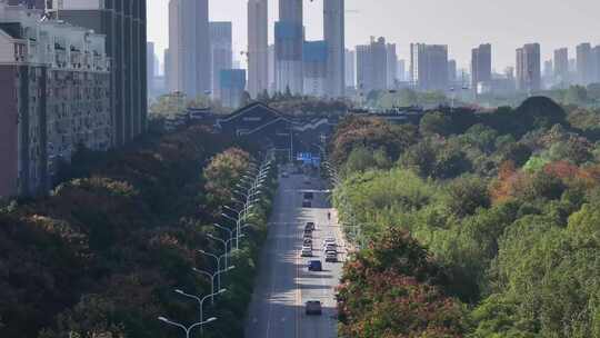 城市路面车流