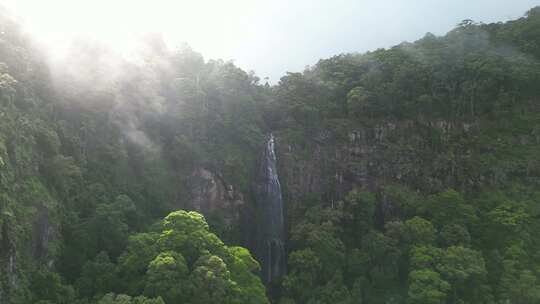 穿过阳光湿透的迷雾，露出隐藏的热带雨林瀑