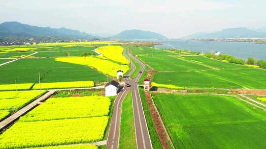 杭州富阳富春江江畔绿道春天风景