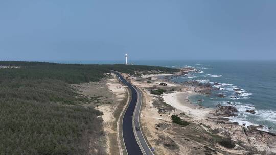 穿过海边森林的公路