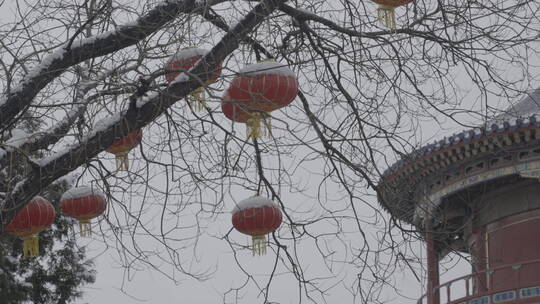 北京雪景 北京下雪