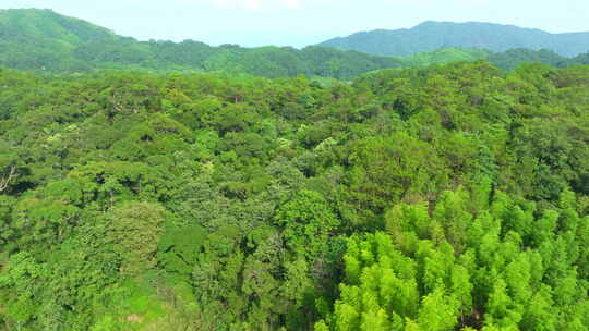 群山 绿树 航拍