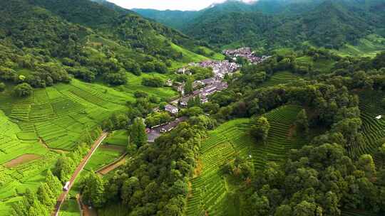 杭州西湖龙井茶园梅家坞清新茶山