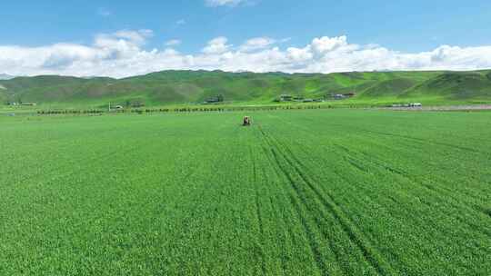 新疆伊犁唐布拉草原农民喷药 新农 环保视频素材模板下载
