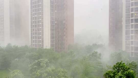 小区暴风雨广州暴雨天气