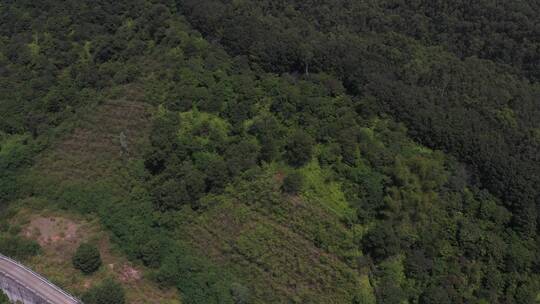 航拍深圳龙华区观澜城市绿化及建筑