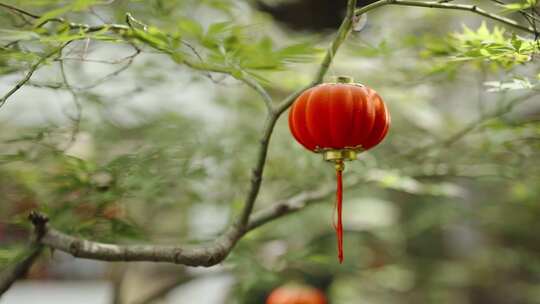 家门口灯笼红灯笼乡村农村过年春节新年氛围