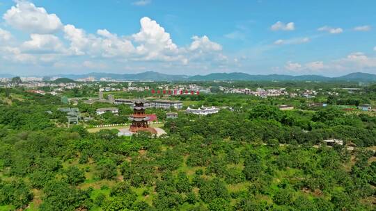 广西荔枝果园大景航拍