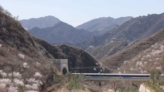 居庸关长城冬奥雪花高铁穿花海隧道视频素材模板下载