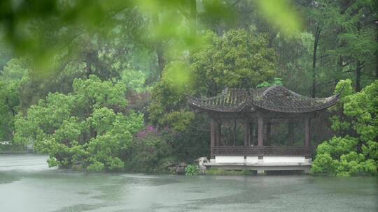 168 杭州 风景 古建筑 下雨天 树叶 亭子