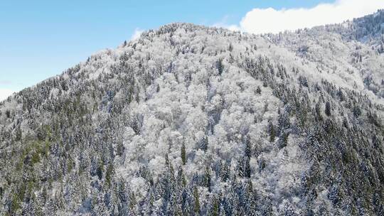 雪山