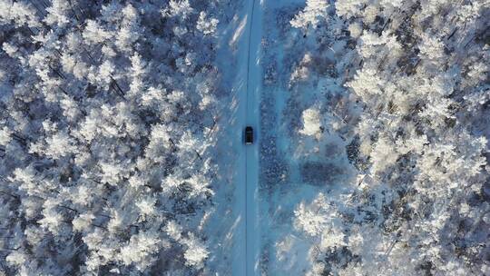 行驶在冰雪森林中的汽车