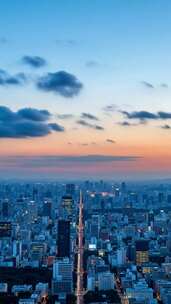 城市黄昏天际线全景