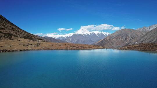 蓝色的湖泊和贡嘎雪山