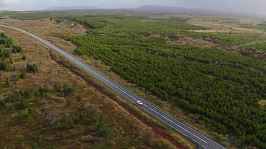 道路，公路旅行，天线，森林