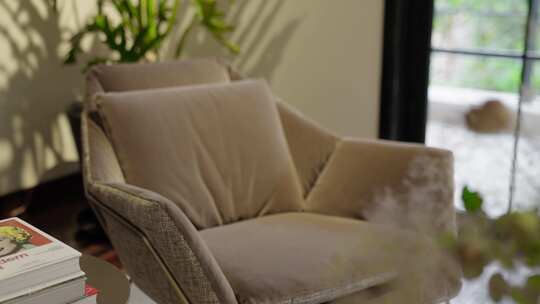 室内米色沙发及书籍场景