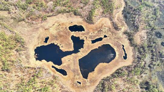 内蒙古达尔滨湖火山熔岩台地湿地水泡