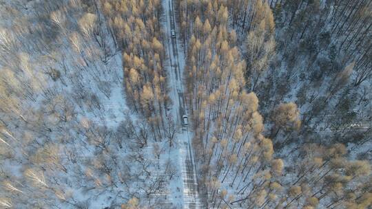 冬天雪地航拍行驶车辆雪地航拍