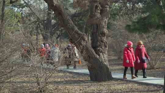 冬季公园中老年女性老伙伴