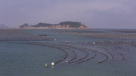 航拍海洋牧场海上养殖渔业